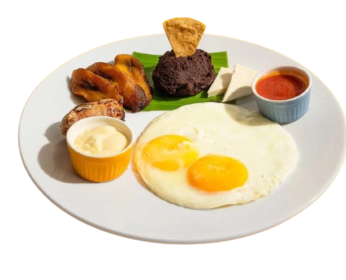 Desayunos y cenas